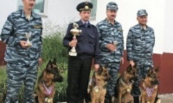 Полицейских собак в России станет вдвое больше