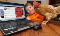 Как Твиттер нашел курицу
